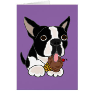 Perro de Boston Terrier que come el helado
