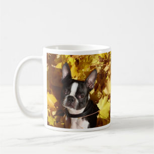 Perro de Boston Terrier rodeado por la taza de las