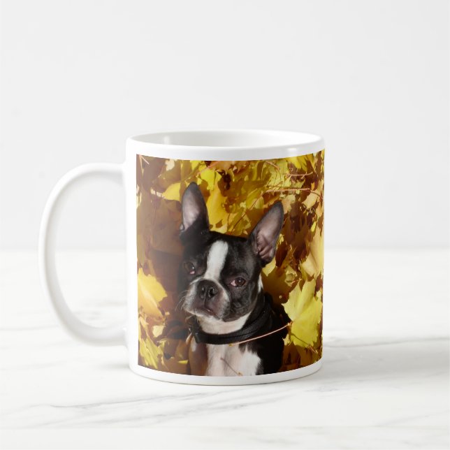 Perro de Boston Terrier rodeado por la taza de las (Izquierda)