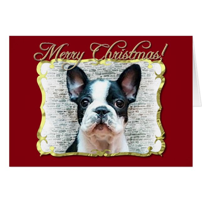 Perro de bulldog francés (Anverso (Horizontal))