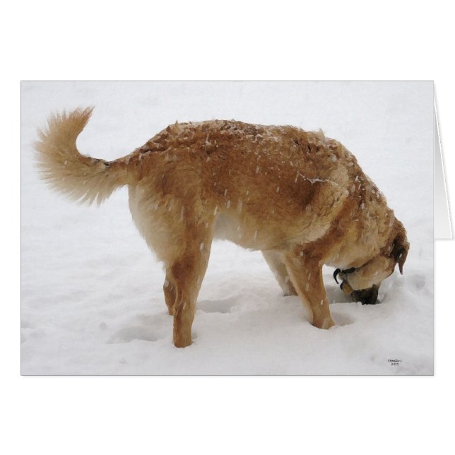 Perro de búsqueda y rescate "Perdido mis llaves" - (Anverso (Horizontal))