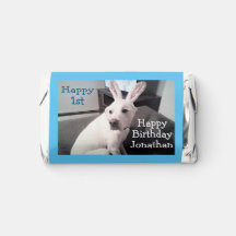 Perro de Cachorro Blanco Con Cachorro De Pascua Az