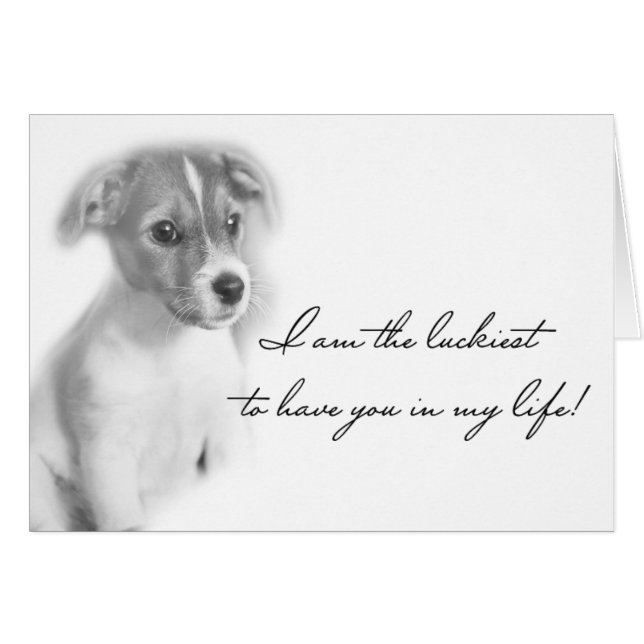 Perro de cachorros (Anverso (Horizontal))