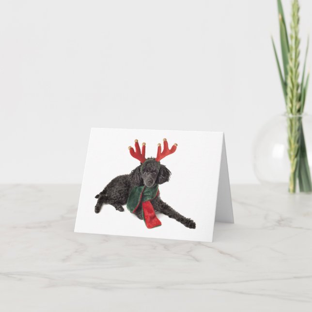 Perro de caniche negro de juguete del navidad (Anverso)