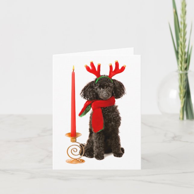 Perro de caniche negro de juguete del navidad (Anverso)
