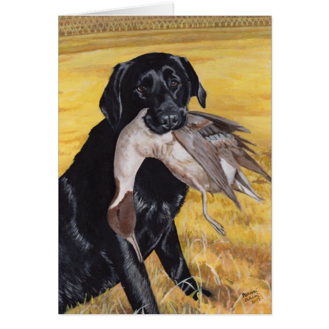 Perro de caza negro de Labrador (Frente)