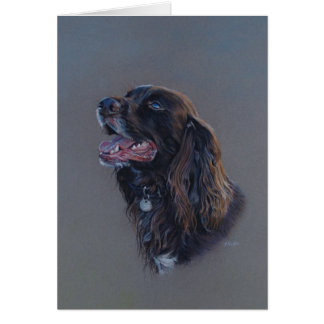 Perro de cocker spaniel del inglés. Bello Artes,