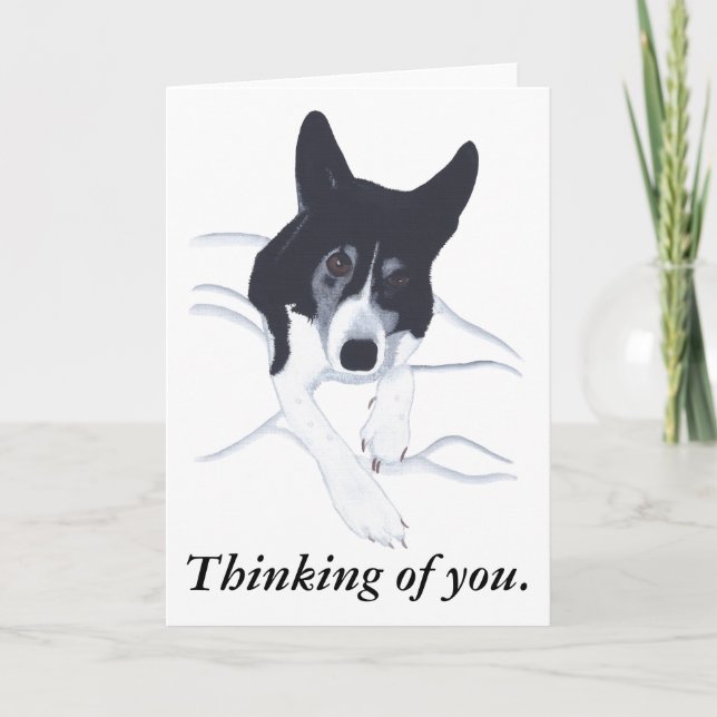 Perro de cola de borde pensando en tus tarjetas (Anverso)