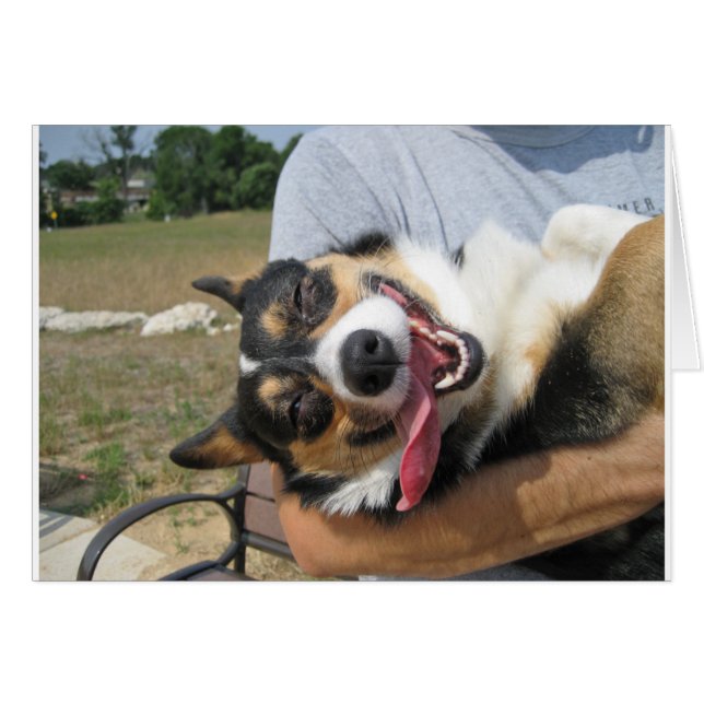 Perro de Corgi sonriente (Anverso (Horizontal))