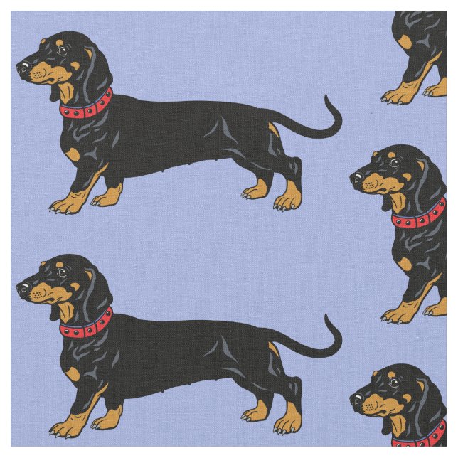 perro de dachshund liso ... tela de ilustracion (De cerca)