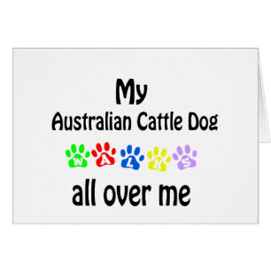 Perro de ganado australiano