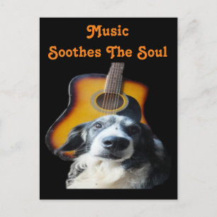 Perro de guitarra postal