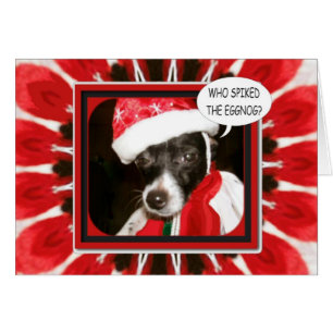 Perro de huevo arañado