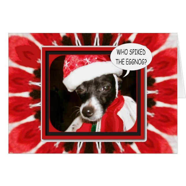 Perro de huevo arañado (Anverso (Horizontal))