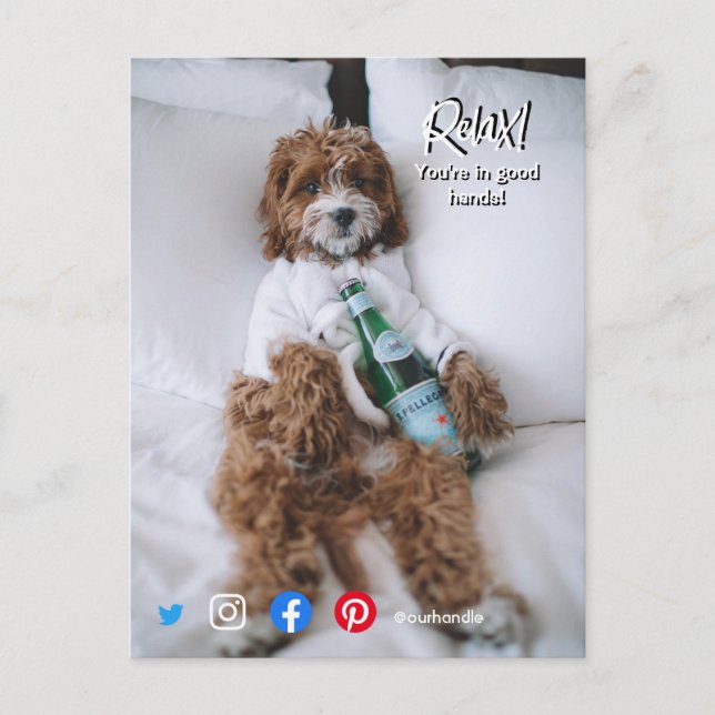 perro de la cama de relajación de la postal inmobi (Anverso)