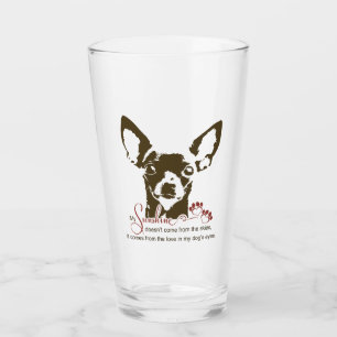 Perro de la chihuahua mi sol
