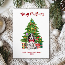 Perro de la familia Spaniel inglés Navidad