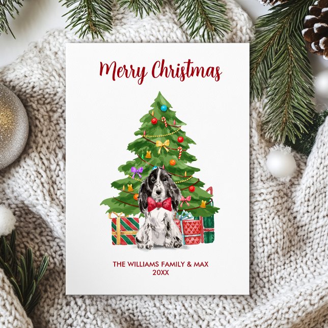 Perro de la familia Spaniel inglés Navidad (Subido por el creador)