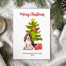 Perro de la familia Spaniel inglés Navidad