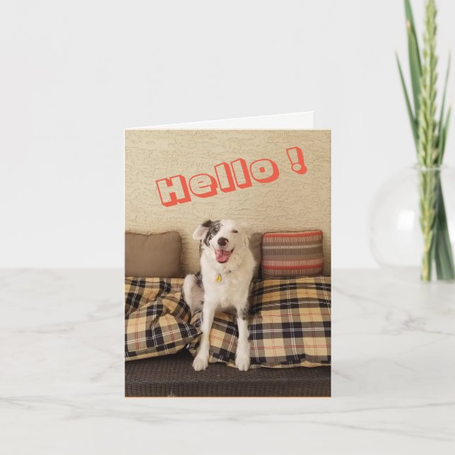 Perro de la tarjeta de nota en blanco diciendo Hol (Anverso)