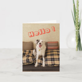 Perro de la tarjeta de nota en blanco diciendo Hol