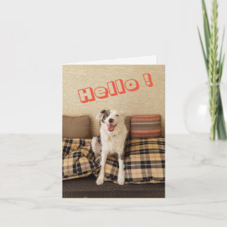Perro de la tarjeta de nota en blanco diciendo Hol