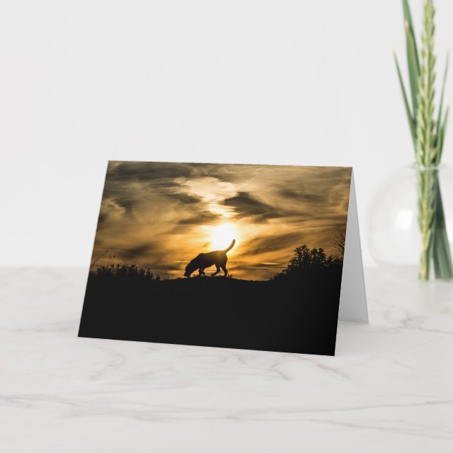Perro de Labrador en la tarjeta de felicitaciones (Anverso)