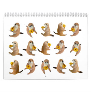 perro de las praderas, calendario