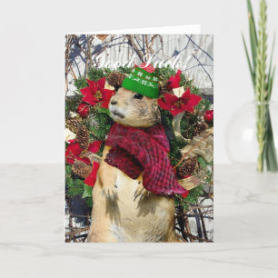 Perro de las praderas del navidad