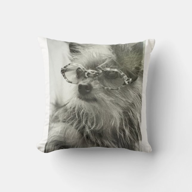 Perro de moda de la ciudad de Nueva York. Almohada (Anverso)