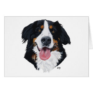 Perro de montaña bernés