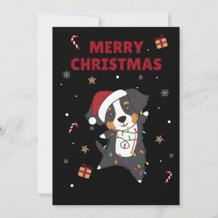 Perro de montaña bernés Feliz Navidad