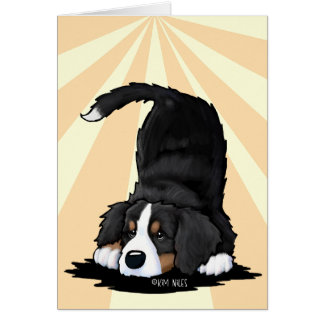 Perro de montaña de Berna