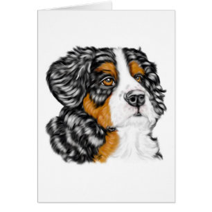 Perro de montaña de Bernese