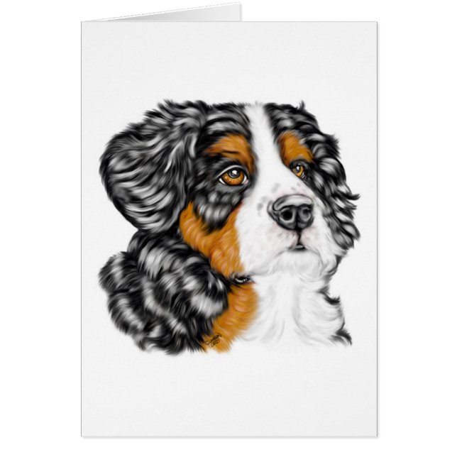 Perro de montaña de Bernese (Frente)