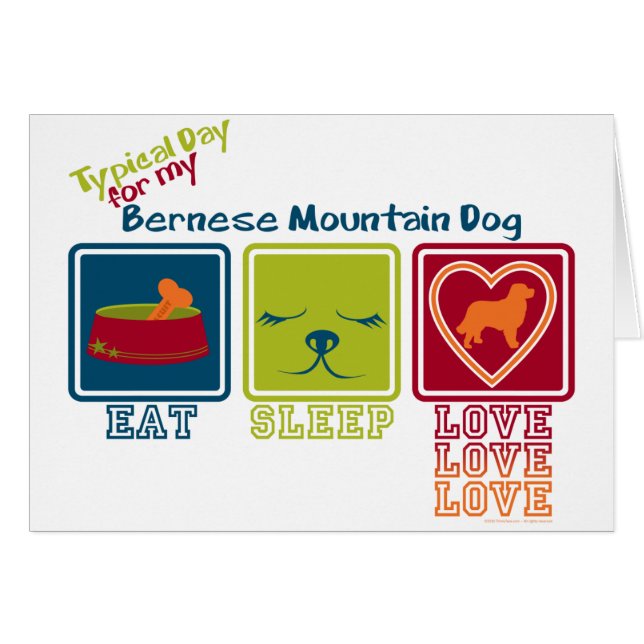Perro de montaña de Bernese (Anverso (Horizontal))