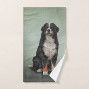 Perro de montaña de Bernese