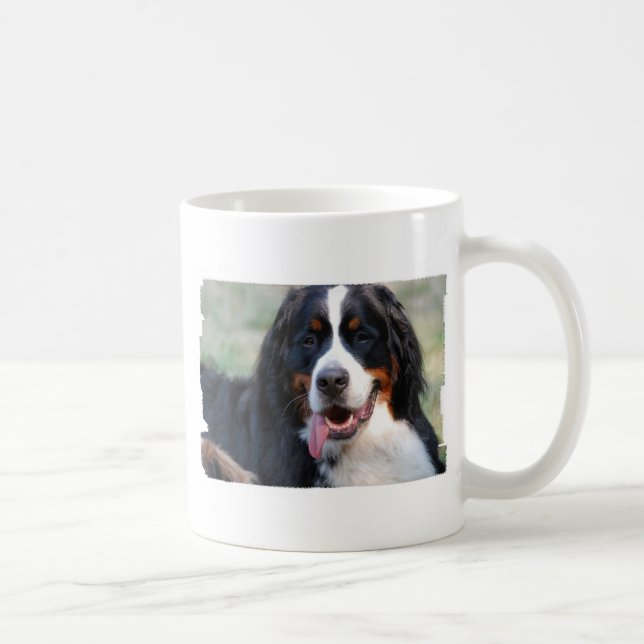 Perro de montaña de Bernese con la taza de café (Derecha)