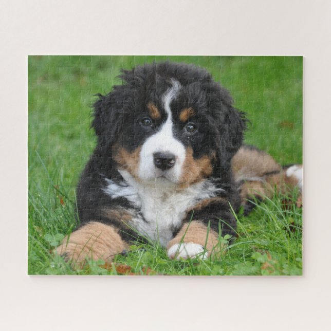 Perro de montaña de Bernese Jigsaw Puzzle Puppy (Horizontal)