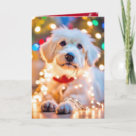 Perro de Navidad enredado en luces