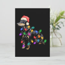 Perro de Navidad enredado en luces