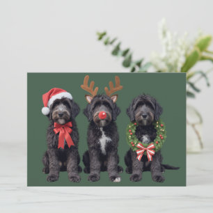 Perro de Navidad Goldendoodle Negro Doodle Mamá In