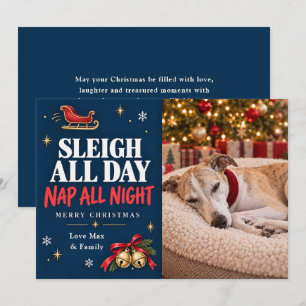 Perro de Navidad que se pasea todo el día y duerme
