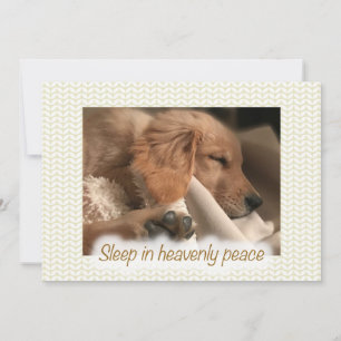 Perro de Navidad Retriever Dorado Paz