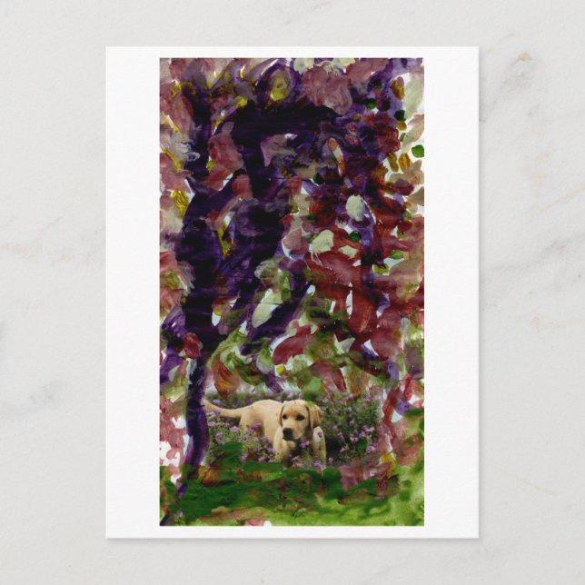 Perro de otra postal (Anverso)