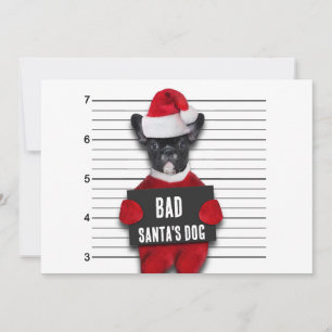 Perro de Papá Noel Malo Mugshot Navidad Divertida