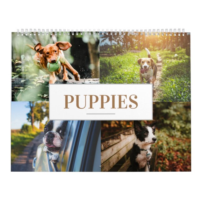 Perro de pared residencial del calendario de cacho (Tapa)