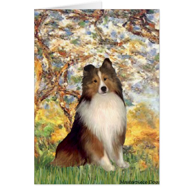 Perro de pastor de Shetland 1 - Primavera (Frente)