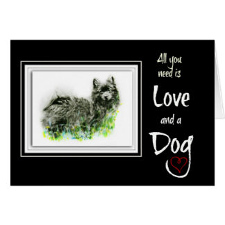 Perro de Pomerania alemán