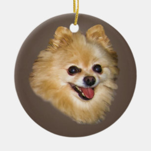 Perro de Pomeranian en el ornamento de Brown